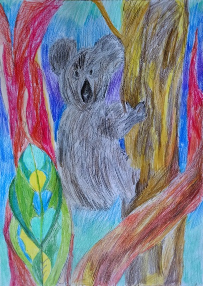 рисунок коала