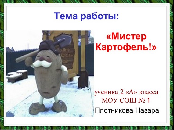 проект мистер картофель