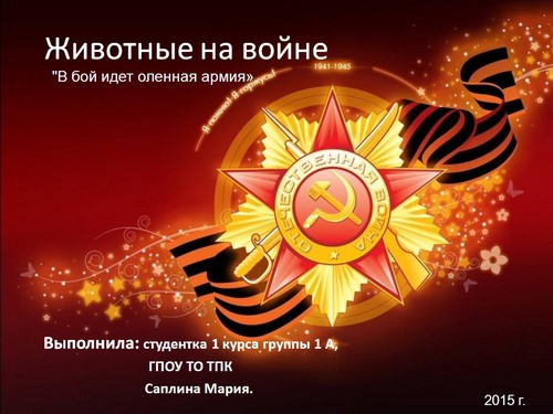 презентация животные на войне