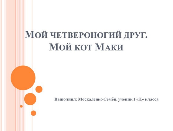 презентация кот маки